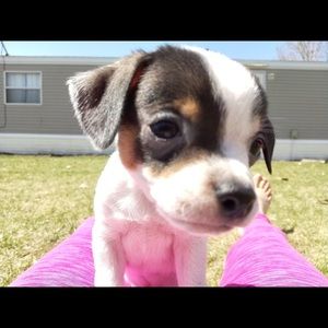 Meet your Posher, Heather